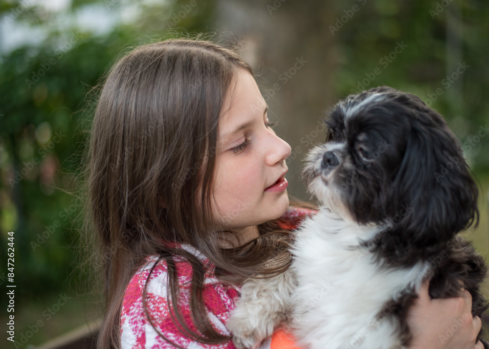 Teenage Girl with a Shih Tzu Dog. 10-Year-Old Girl with a Black and White Shih Tzu Teenage Girl with a Shih Tzu Dog. 10-Year-Old Girl with a Black and White Shih Tzu
