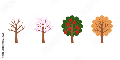 Apple tree, Vector Set, Seasons, Simple vector illustration
