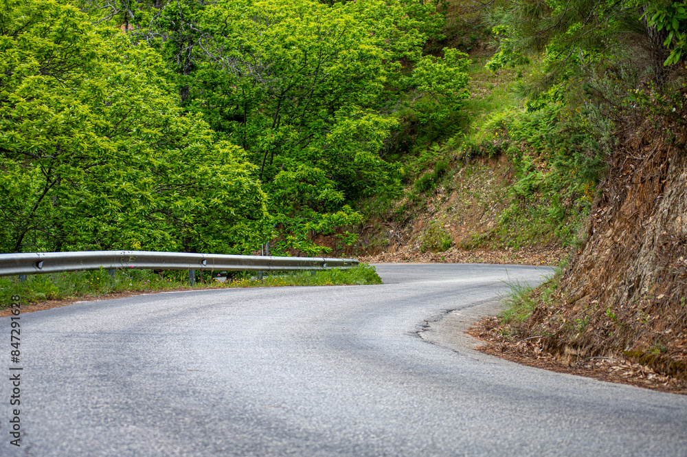 Fototapeta premium Local road in Genal valley in Sierra de las Nieves National Park, Andalusia, southern Spain