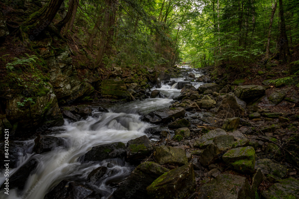A small waterfall cascades through a forest on the Track and Tower Trail in Algonquin Park, Ontario. A small waterfall cascades through a forest on the Track and Tower Trail in Algonquin Park, Ontario.