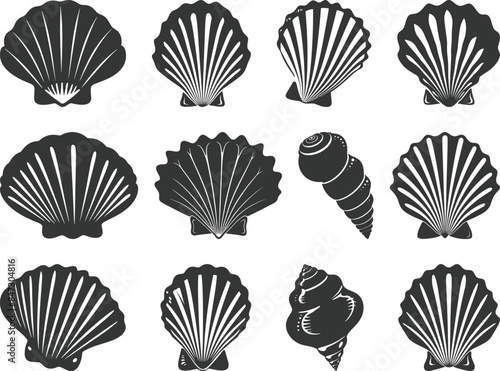 Set of seashells on white background, Scallop seashell logo, Ocean exotic underwater seashell conch aquatic mollusk, sea spiral snail, marine starfish, Hello, summer, Vacation, Undersea collection.