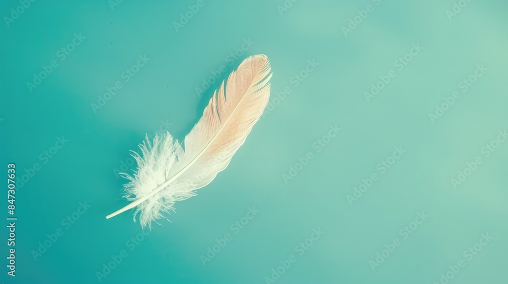 Feather floating on a bright teal background, copyspace Feather floating on a bright teal background, copyspace