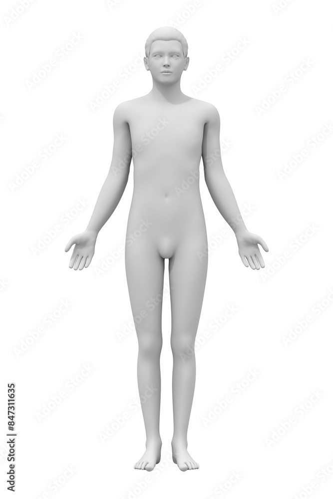 man body, human anatomy pose, art & medical science man body, human anatomy pose, art & medical science