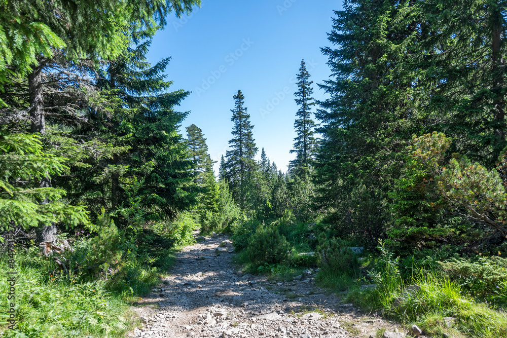 Fototapeta premium Landscape of Rila Mountain near Malyovitsa peak, Bulgaria