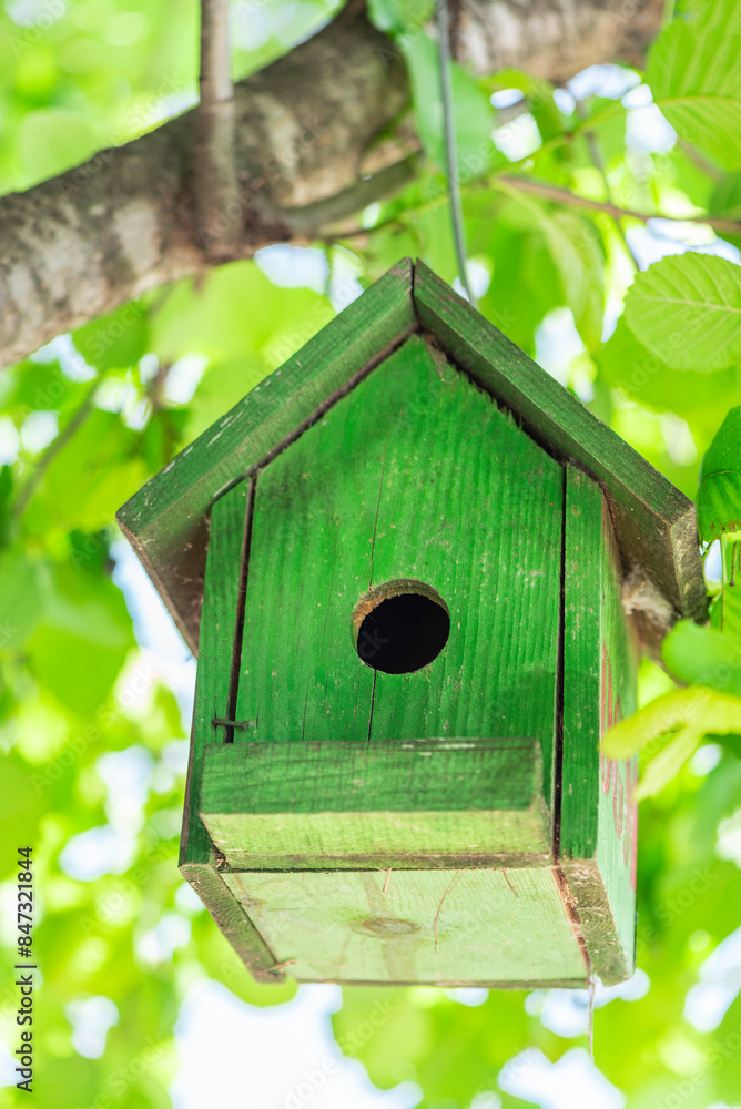 A cute green wooden bird box on a tree, close up, outdoor photography A cute green wooden bird box on a tree, close up, outdoor photography