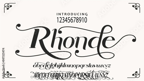 signature Font Calligraphy Logotype Script Brush Font Type Font lettering handwritten