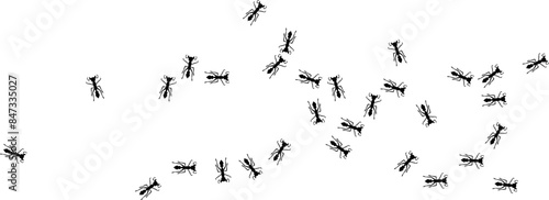 Chaotic Ant trail way illustration. Insect at home. concept Stock vector illustration isolated on white background in flat simple style.