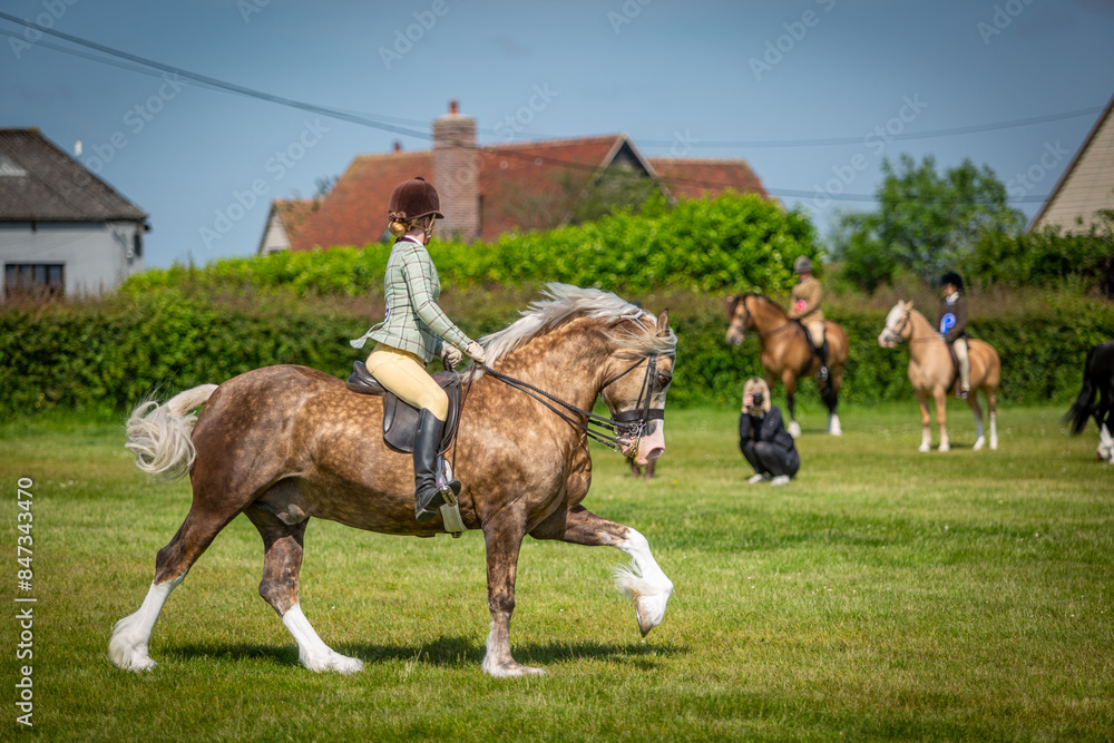 Fotografie Young female competing in a ridden horse show competition, Image shows a 25 year