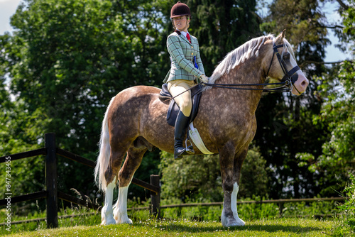 Tableau sur toile Young female competing in a ridden horse show competition, Image shows a 25 year