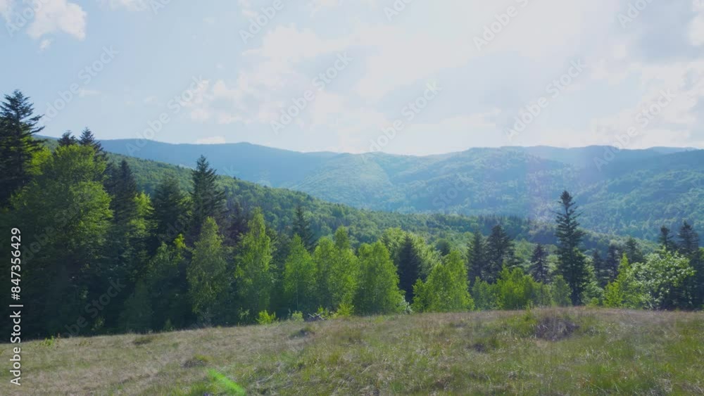 Panoramic view of the mountains, forest, valley in summer. Panoramic view of the mountains, forest, valley in summer.