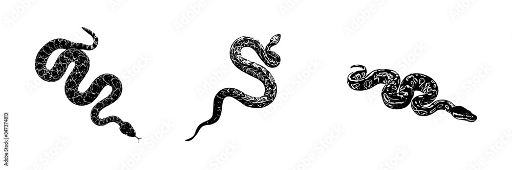 silhouette illustration background for a snake day silhouette illustration background for a snake day