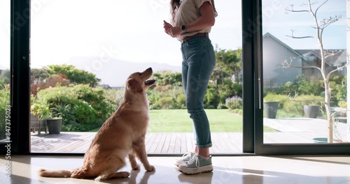Training, sit and woman with dog in home patio to love and play with animal trick. Pet owner, happiness and person on floor for obedient companion, care and wellness or friendship in cozy apartment
