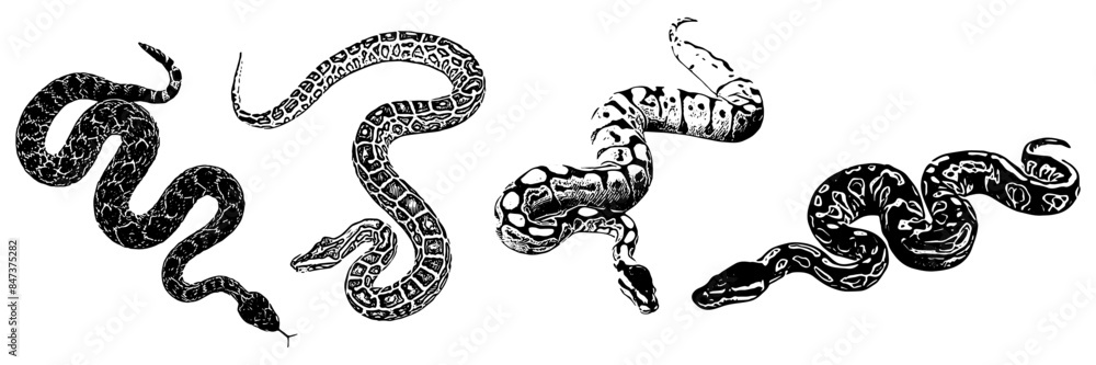 Fototapeta premium silhouette illustration background for a snake day