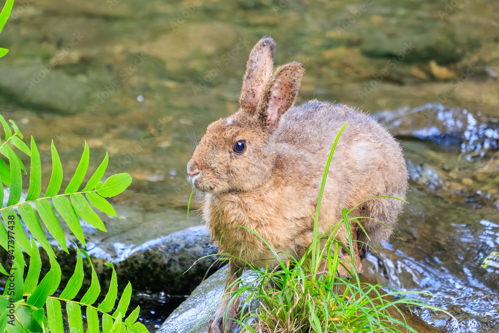 1000_F_847377438_EkHUXOkseYwu5