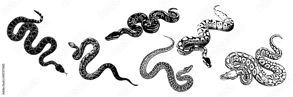 silhouette illustration background for a snake day silhouette illustration background for a snake day