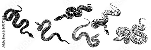  silhouette illustration  background for a snake day