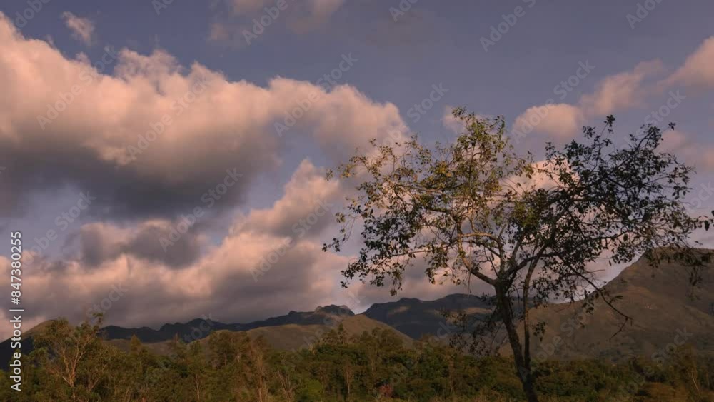Time-lapse of some dense clouds coming from the east, with and alder tree in the foreground, over the eastern Andean mountains of central Colombia, in the afternoon. Time-lapse of some dense clouds coming from the east, with and alder tree in the foreground, over the eastern Andean mountains of central Colombia, in the afternoon.