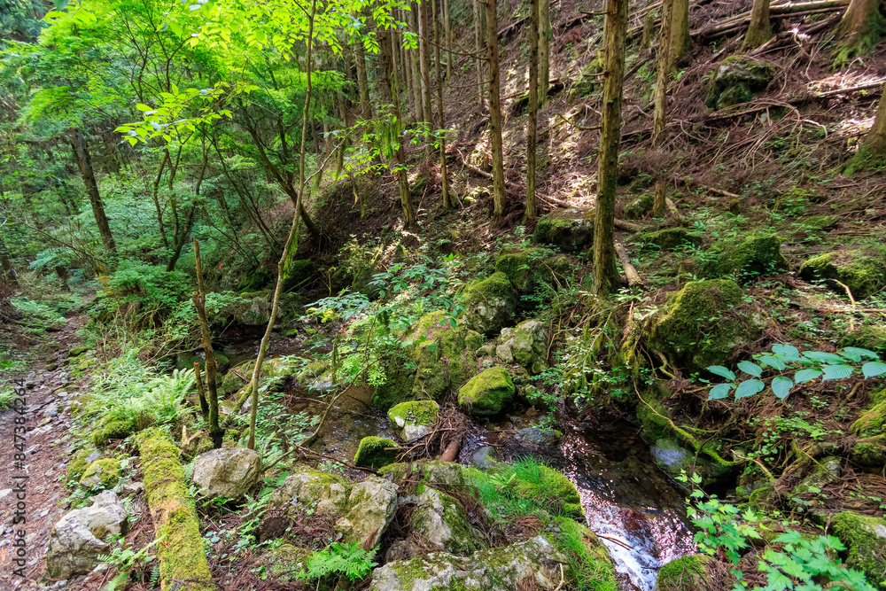 沢沿いでランチを食す。
日本国東京都あきる野市、日の出山登山道他。
2024年6月撮影。
Eat lunch along the stream.
Mt. Hinode-yama Trail road, Akiruno City, Tokyo, Japan. - June 1, 2024.
沢沿いでランチを食す。
日本国東京都あきる野市、日の出山登山道他。
2024年6月撮影。
Eat lunch along the stream.
Mt. Hinode-yama Trail road, Akiruno City, Tokyo, Japan. - June 1, 2024.