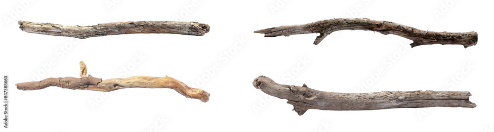Many dry tree branches isolated on white, set Many dry tree branches isolated on white, set