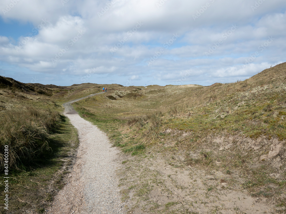 trail in dunes trail in dunes