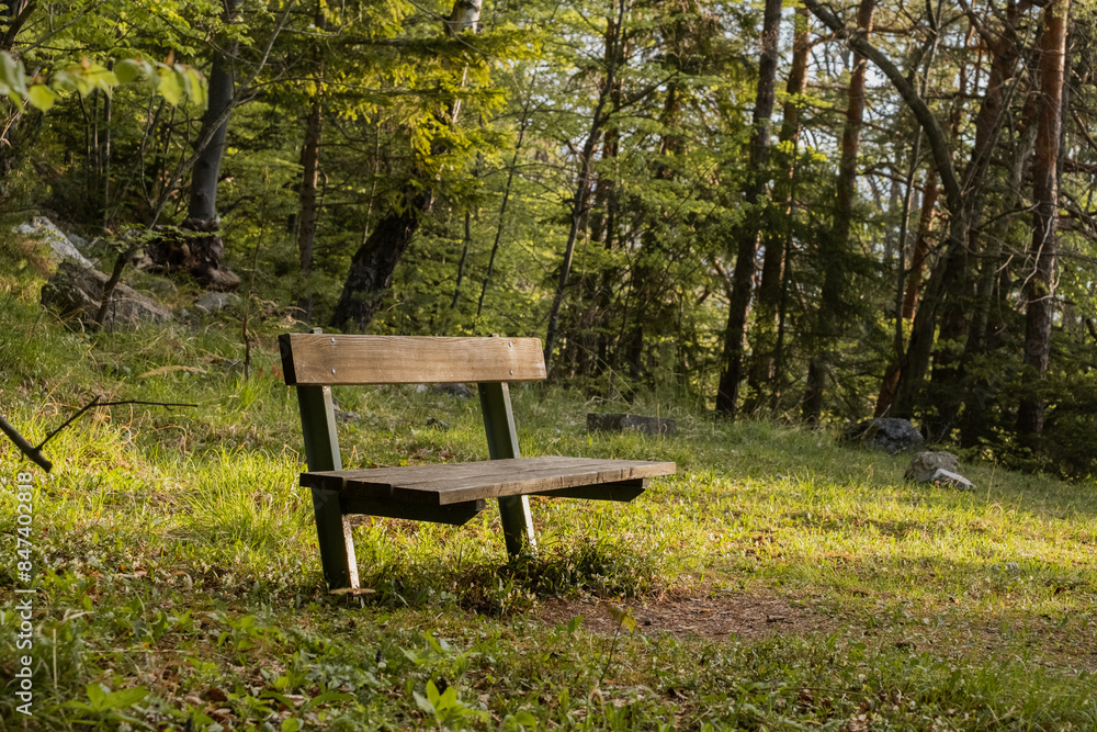 Bench at sunrise in the forest. Bench at sunrise in the forest.
