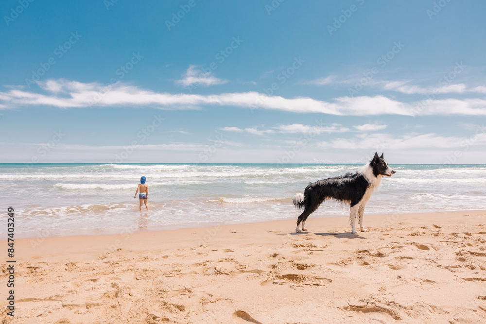 Woman and dog enjoying a sunny day at the beach Woman and dog enjoying a sunny day at the beach