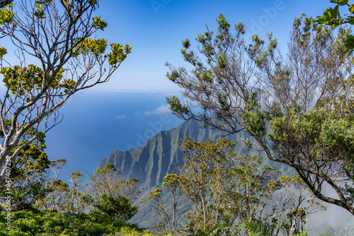  Kokee State Park Kauai Hawaii. Nā Pali Coast State Wilderness Park. Kalalau Valley. Kalepa Ridge Trail

 photo