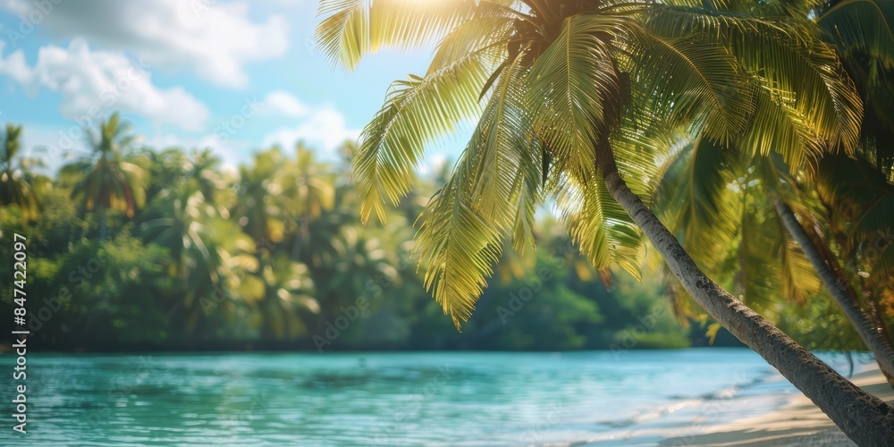 Tropical beach with palm trees and calm ocean waves, under a bright blue sky with scattered clouds. Perfect for travel and vacation themes