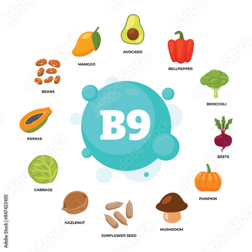 Set of vitamin B9 source dietetic organic nutrition products, Organic nutrition, food containing avocado, bell pepper, brocoli, beet, pumpkin, mushroom, cabbage, hazelnut, papaya, mango, nuts.
