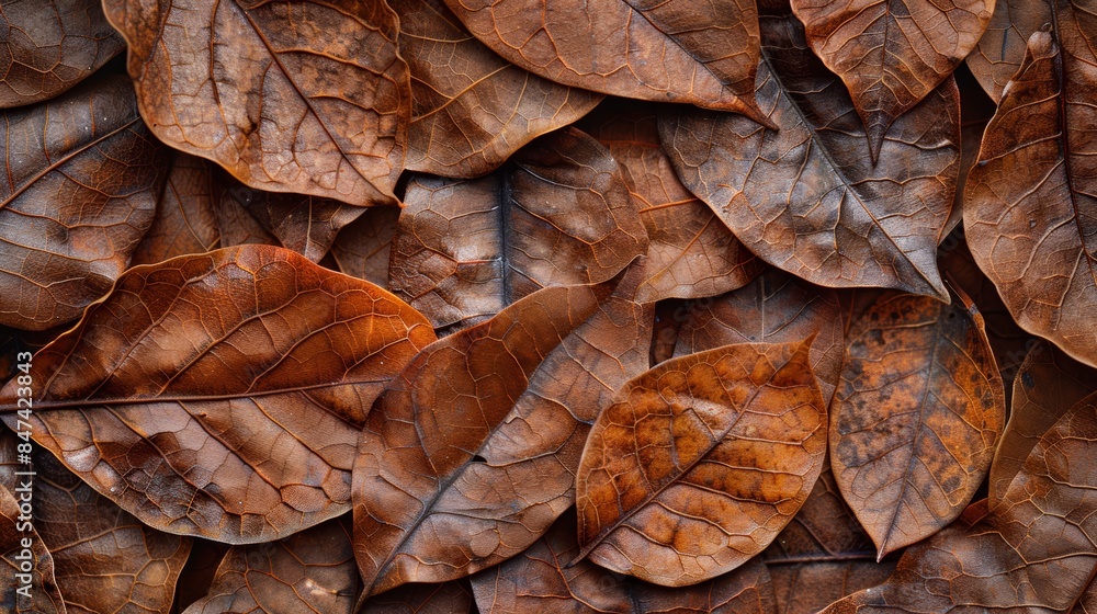 A close-up of a pile of dry, brown leaves with intricate patterns. The texture and color create a rustic and natural background. A close-up of a pile of dry, brown leaves with intricate patterns. The texture and color create a rustic and natural background.