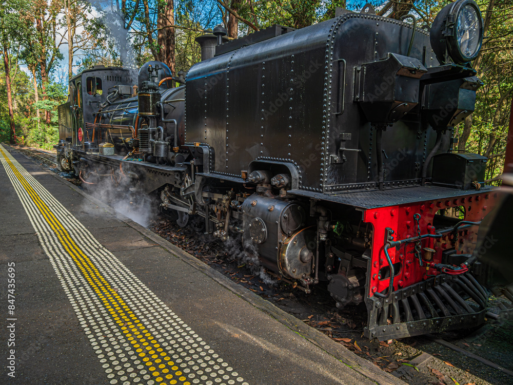 Fototapeta premium Black Steam Locomotive With Tender
