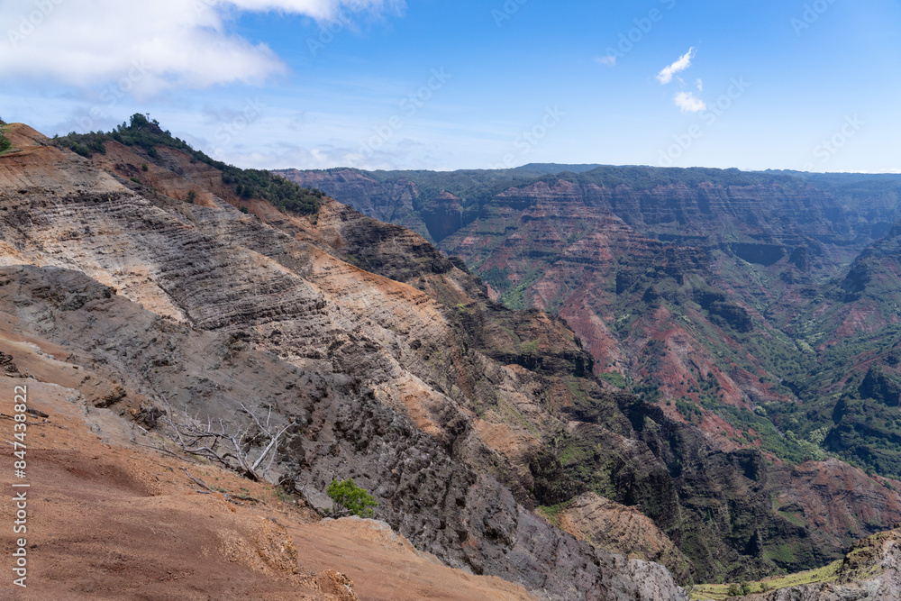 Waimea Canyon Lookout, Waimea Canyon State Park, Kauai, Hawaii. Waimea Canyon, also known as the Grand Canyon of the Pacific,
Waimea Canyon Lookout, Waimea Canyon State Park, Kauai, Hawaii. Waimea Canyon, also known as the Grand Canyon of the Pacific,
