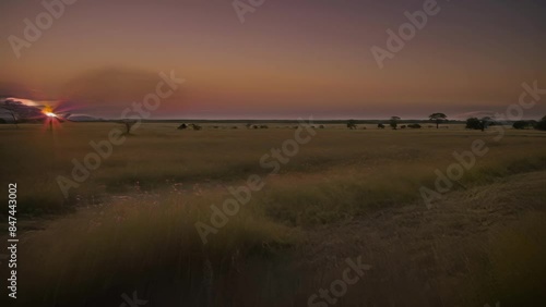 Sunset Landscape in the African Savanna With a Lone Tree