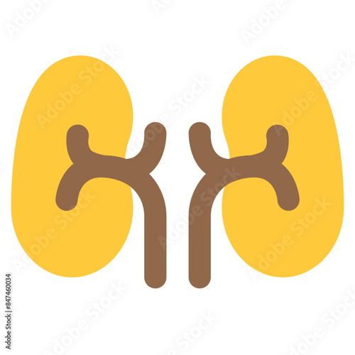 kidney icon