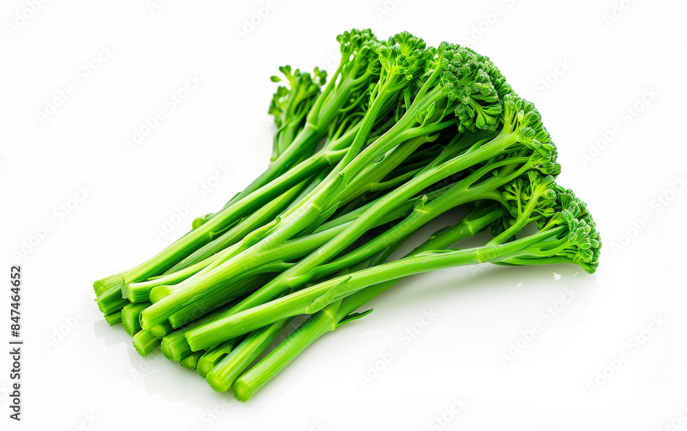 Fresh green broccoli isolated on white background. Healthy vegan food. Fresh green broccoli isolated on white background. Healthy vegan food.