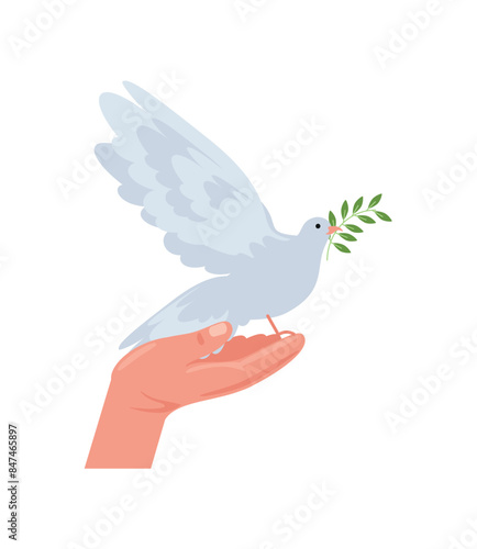 hands and dove of peace with branch