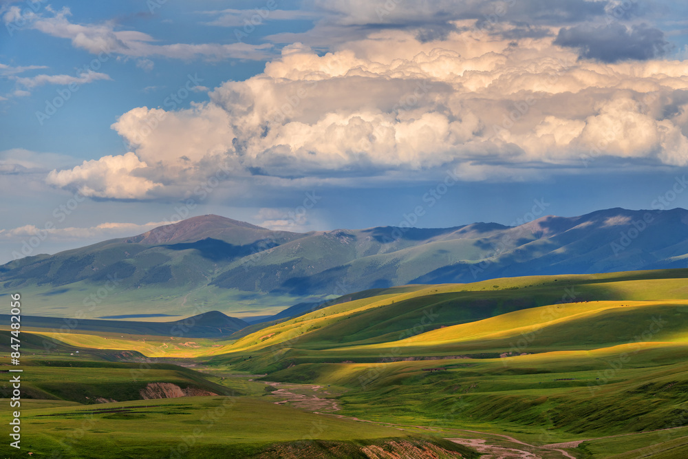 Fototapeta premium Picturesque high mountain plateau in southeast Kazakhstan on a cloudy summer day