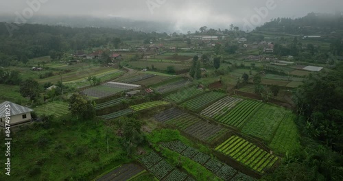 Aerial View of Rural Agricultural Fields in Mist and Fog photo