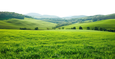 Countryside landscape with green field and mountains on background isolated on transparent background