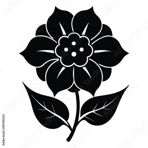 Vintage Detailed Flower Vector design