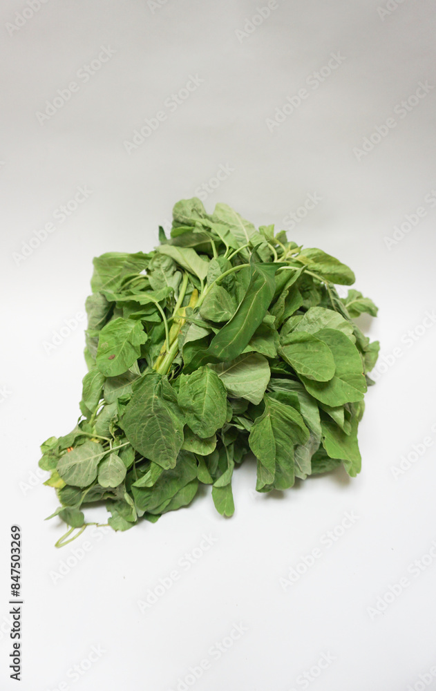 a bunch of raw spinach or green vegetables isolated on white background. a bunch of raw spinach or green vegetables isolated on white background.