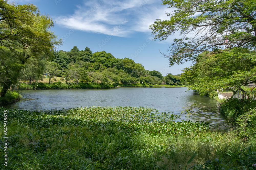 横浜市鶴見区の神奈川県立三ツ池公園 横浜市鶴見区の神奈川県立三ツ池公園