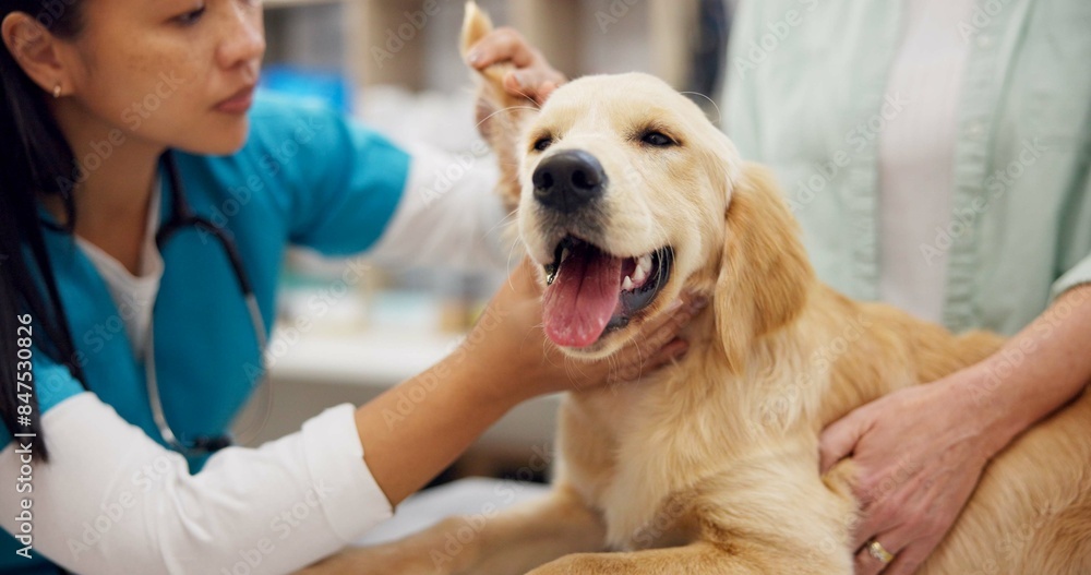 Φωτογραφία Woman, veterinarian and checkup with dog by owner in animal care, visit or healthcare at shelter
