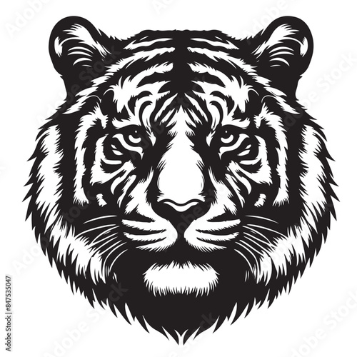 Set of tiger silhouettes in different positions  black and white vector graphics  silhouette laser cutting..