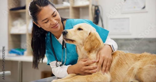 Woman, vet and dog at clinic with smile, care and stroke for health, development and growth with wellness. Person, doctor and golden retriever pet with assessment, exam and check at animal hospital