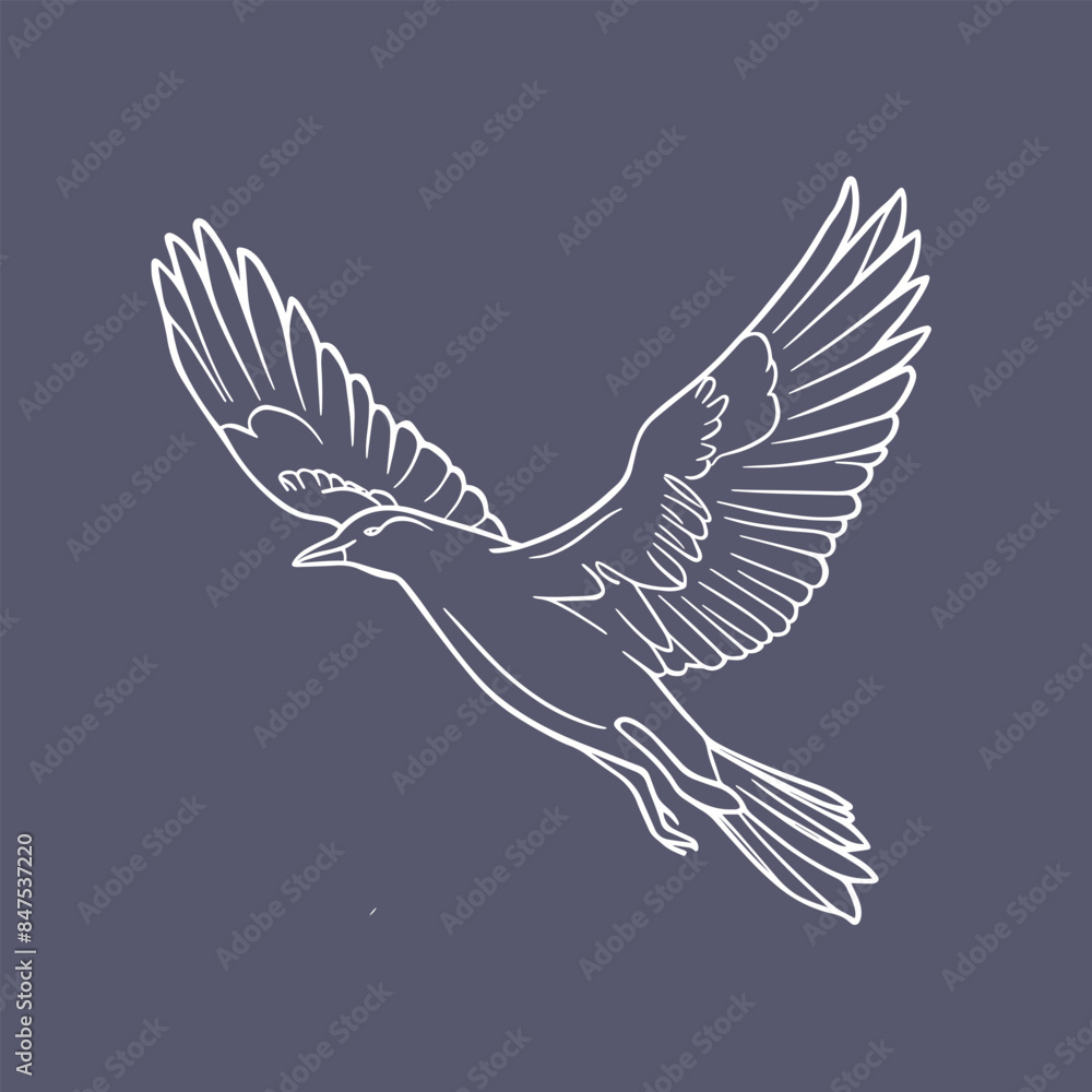 Obraz premium Illustration of a flying bird with an elegant line art
