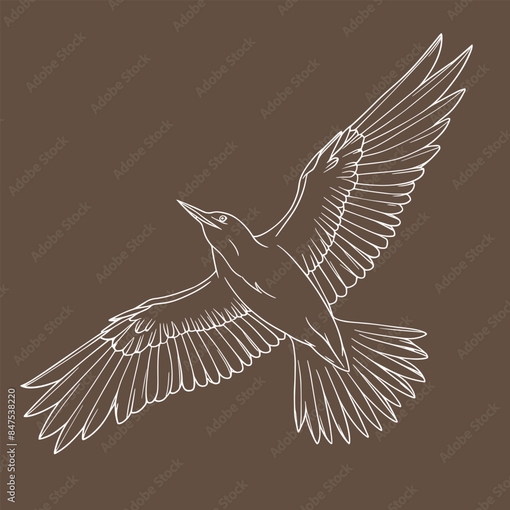Obraz premium Illustration of a flying bird with an elegant line art