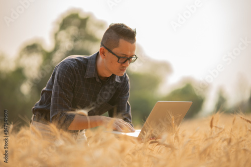Farmer giving advice on wheat work online on tablet in wheat field.