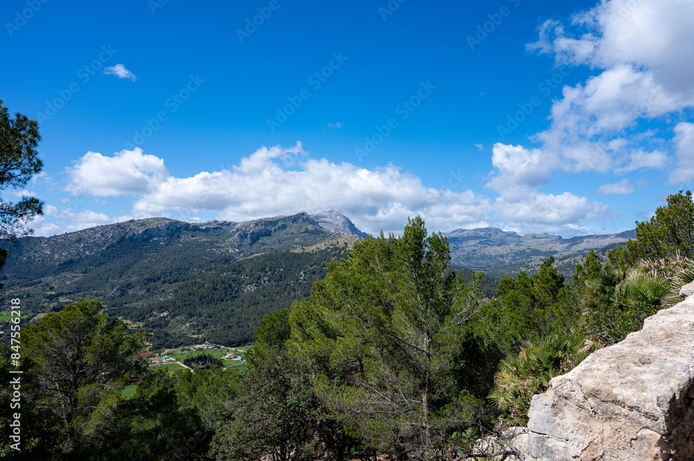 Fototapeta premium Mallorca, Landschaft, Mittelmeer, Pflanzen, Natur, Blumen, Tiere, Markt, Reisen, Travel, Europa, Mediterran