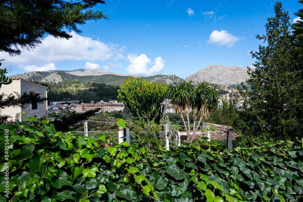 Mallorca, Landschaft, Mittelmeer, Pflanzen, Natur, Blumen, Tiere, Markt, Reisen, Travel, Europa, Mediterran Mallorca, Landschaft, Mittelmeer, Pflanzen, Natur, Blumen, Tiere, Markt, Reisen, Travel, Europa, Mediterran